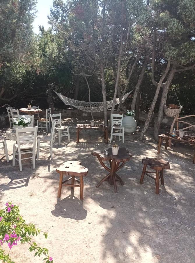 Dioni Lux Inn 2 Pachaina Luaran gambar